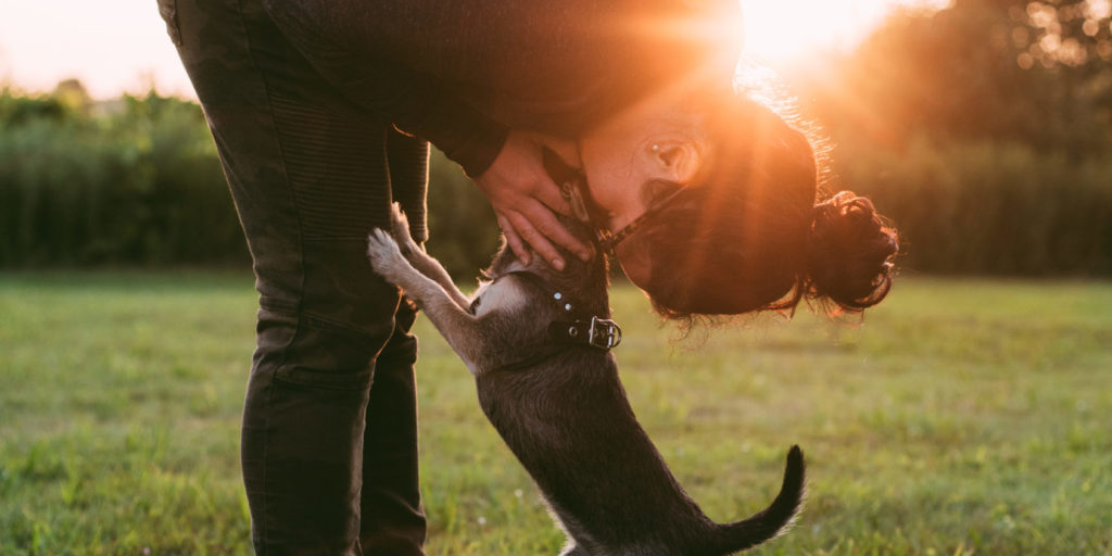 Photo of person kissing a dog on grass field