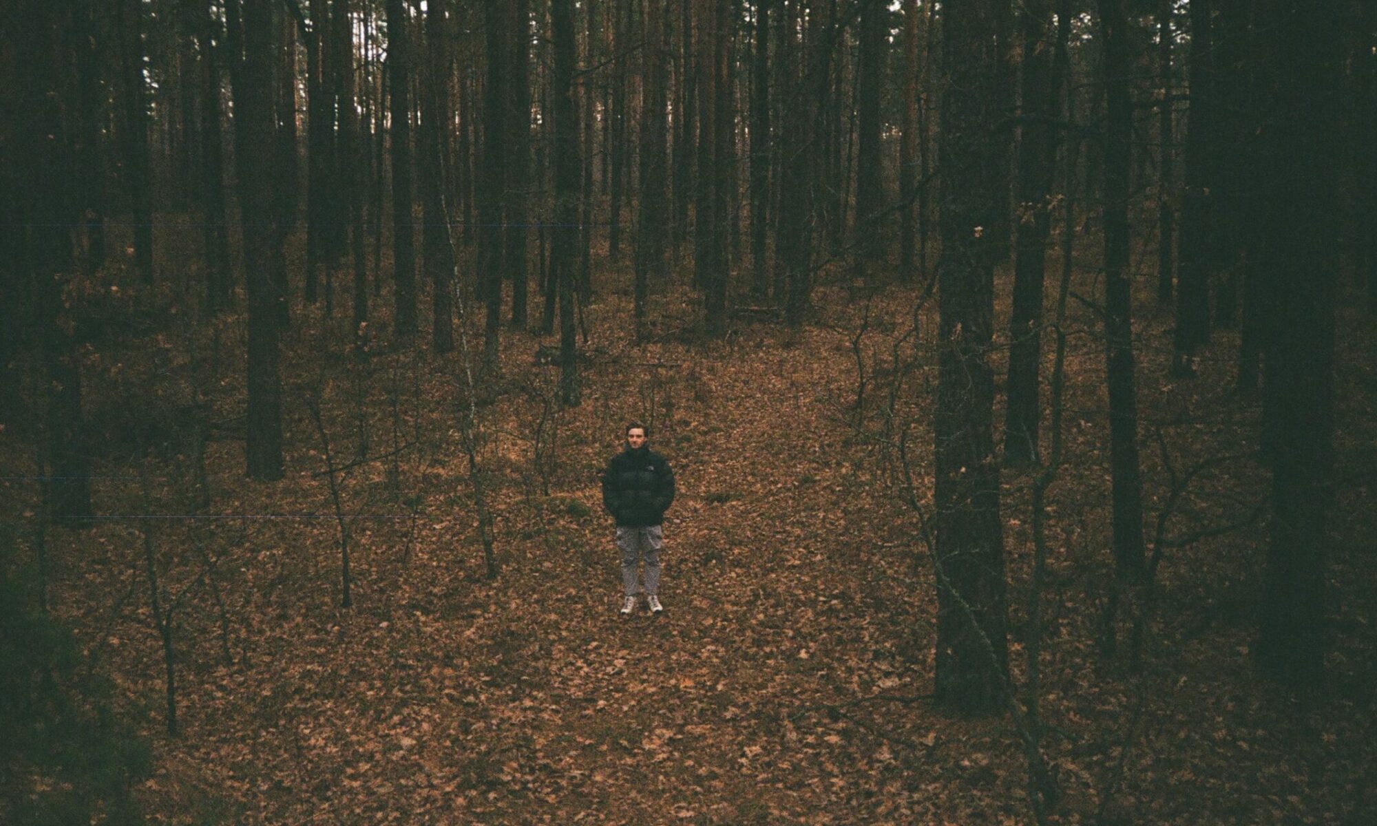 An aerial photography of a man in black jacket standing in the middle of the forest